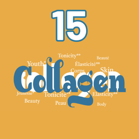 1 sachet de 15 sticks COLLAGEN